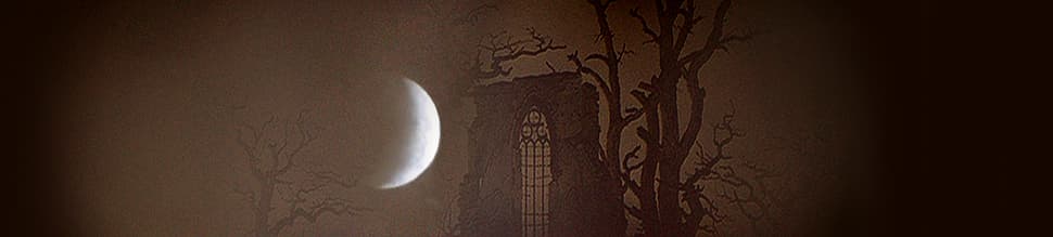 Moonlit landscape with crescent moon, trees and old Gothic ruin