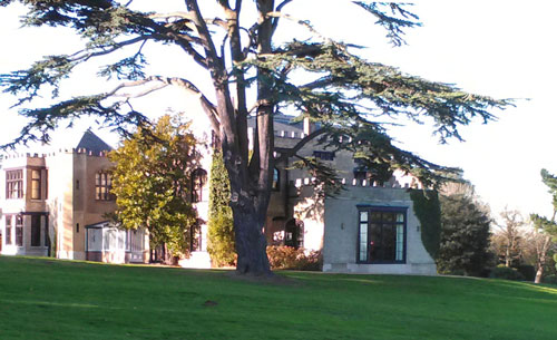 exterior of Victorian Gothic home with tree and lawns
