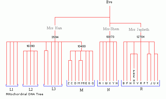 diagram - tree style