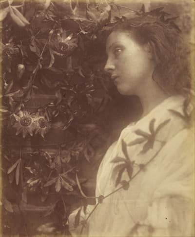 old photo of Victorian woman in profile by Julia Margaret Cameron