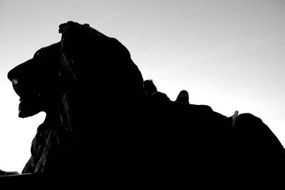 shilouette of lion, sculptured monuments in London's Trafalgar Square