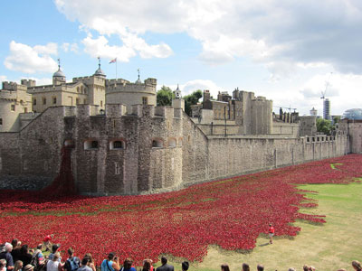 poppies scattered around walls of Tower of London for remembrance