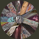 colourful circle of images taken from the bark of trees