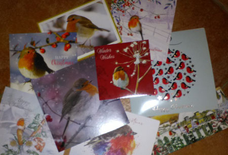 scattered grouping of numerous Christmas cards with robin images on front