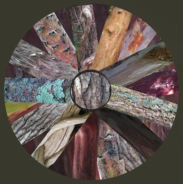 Composite image of various barks arranged in a circle, radiating from centre