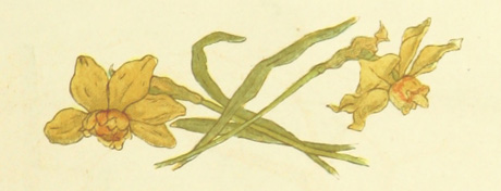 two dafodils crossed against beige background