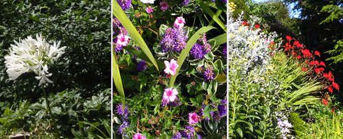 triple image of various flowers