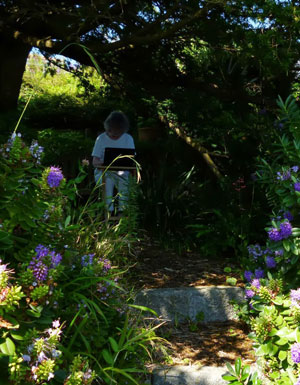 shady scene of man seated, typing on laptop