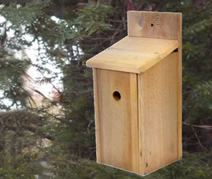 small nest box for birds, wood