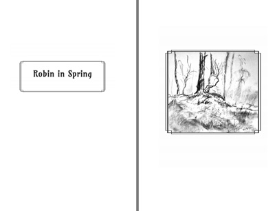 screen shot of open pages of a book with caption left and illustration right
