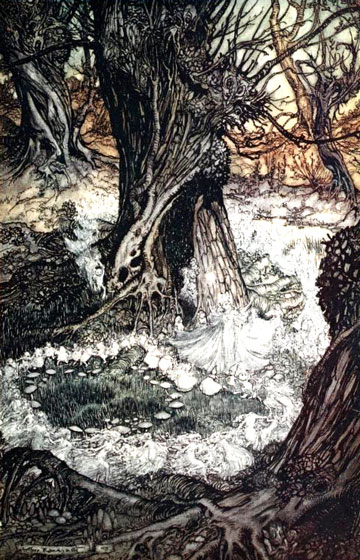 intricate illustration of woodland scene with fairies dancing
