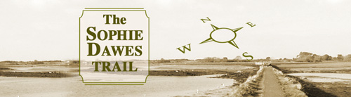 banner with picture of marshy landscape of St Helen's Duver