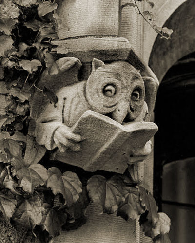 image of a gargoyle in stone - an owl reading a book