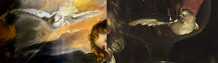double image of two birds, from different paintings - a dove and a cockatoo, both white