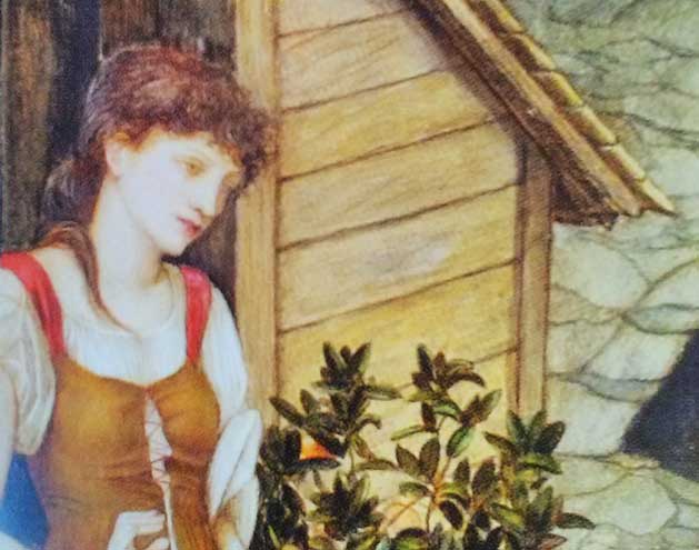 painting close up young woman in medieval style clothing, head slightly downward looking