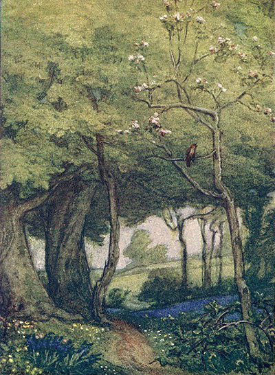 woodland scene illustrated with small bird on tree, green and lush