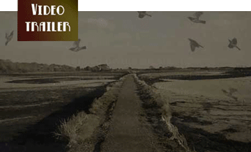 landscape, dark in tone, with pathway in centre stretching into distance