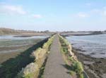 thumbnail image of a narrow causeway with brackish water to sides